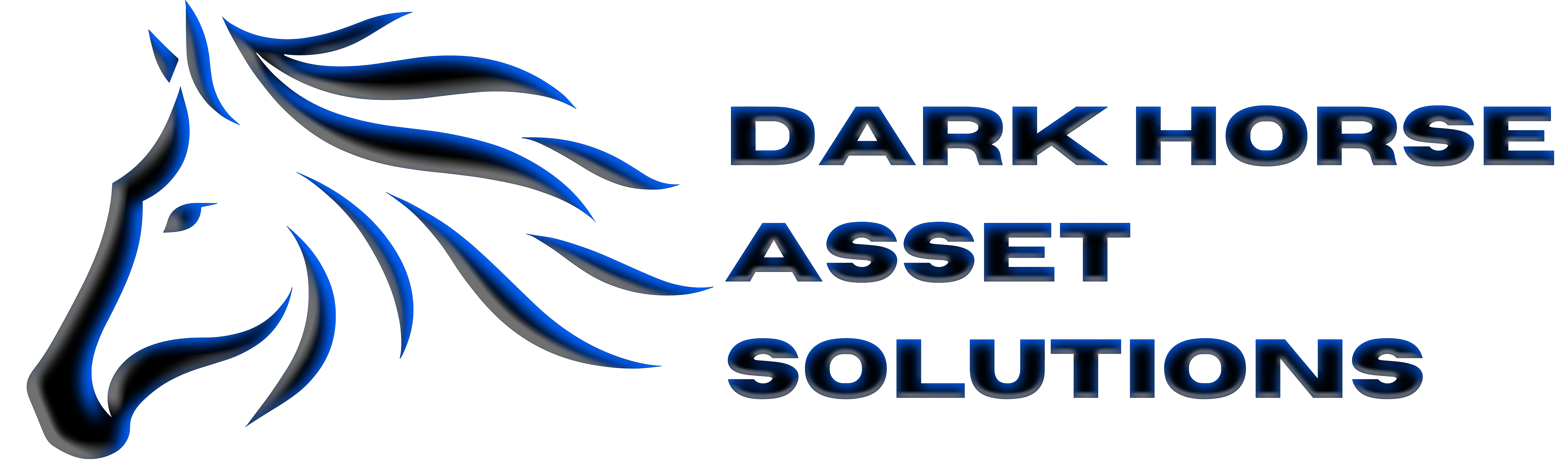 Dark Horse Asset Solutions logo - A silhouette of a strong and confident dark horse, symbolizing resilience and success in real estate investing and redevelopment.